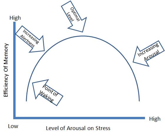 Bell Curve Effect of Arousal Level - Yerkes-Dodson Law