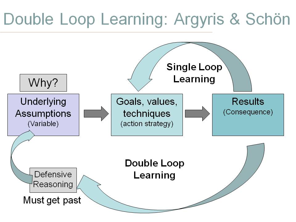 diagram describing the process of double loop learning
