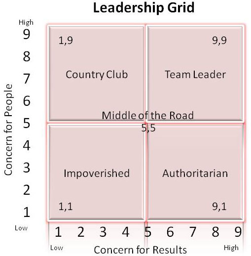 Behavior Grid Chart