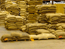 Bags of Coffee Beans